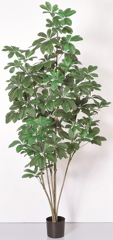 フェイクグリーン　シェフレラ(ポット付)