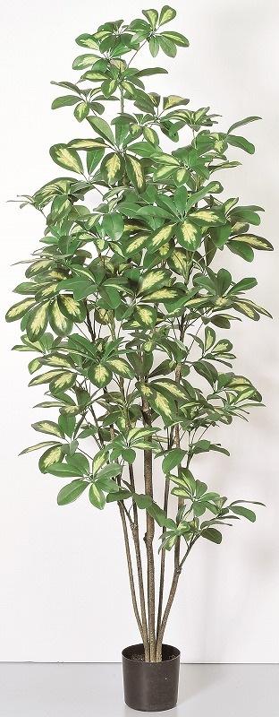 フェイクグリーン　シェフレラ(ポット付)