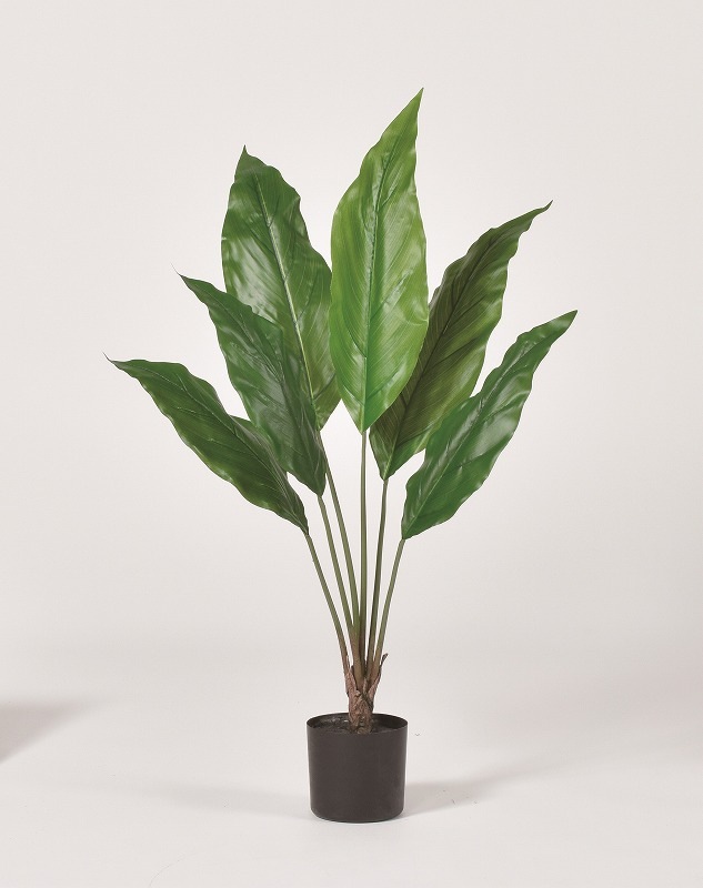 フェイクグリーン　リーフプラント(ポット付)