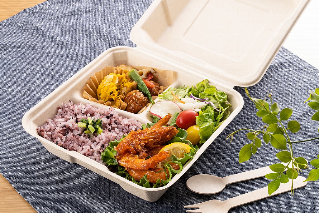 TM-B106 バガス容器 ECO容器 リサイクル容器 業務用 サトウキビ製 使い捨て容器 エコフード容器 未晒し ランチボックス 植物由来 3仕切りランチボックス TM-B106 50個×1パック