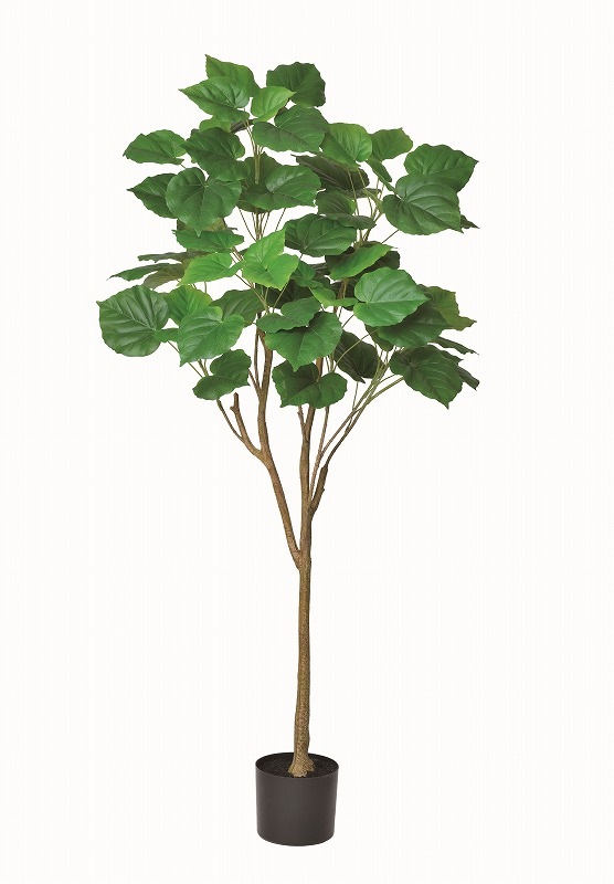 フェイクグリーン　ウンベラータ(ポット付)