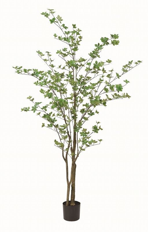 フェイクグリーン　ドウダン(ポット付)