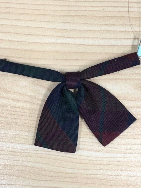 神奈川県　えいすう幼稚園　りぼん　【0203087】