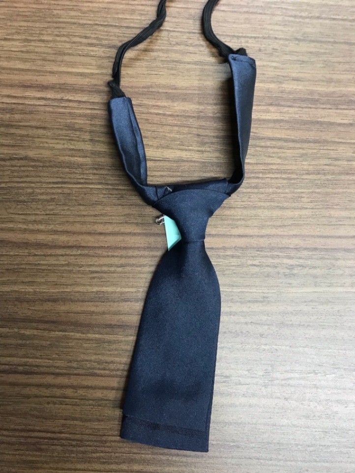 神奈川県　光ヶ丘幼稚園　ネクタイ　【0207326】