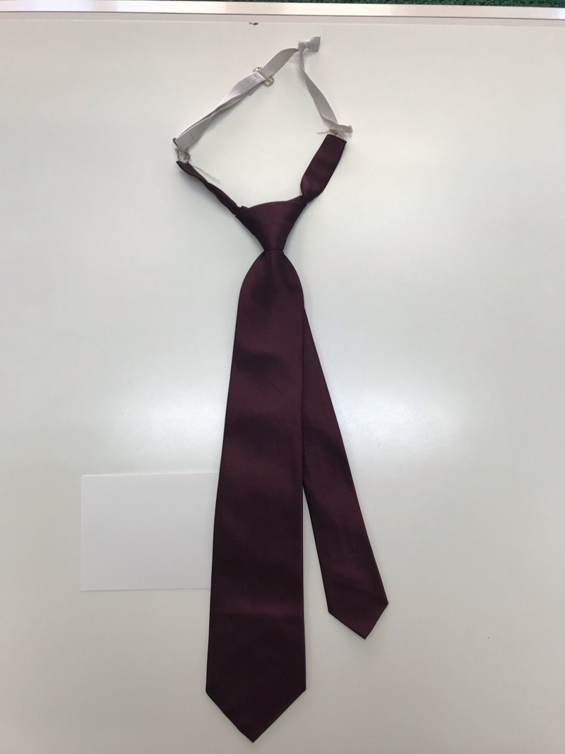 神奈川県　依知中学校　ネクタイ　【0206258】