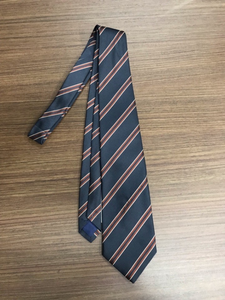 神奈川県　伊勢原支援学校　ネクタイ　【0208345】