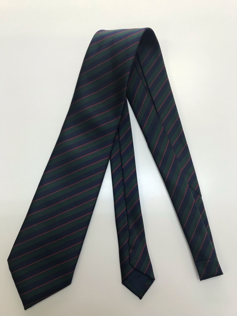 神奈川県　星槎国際高校　ネクタイ　【0210556】