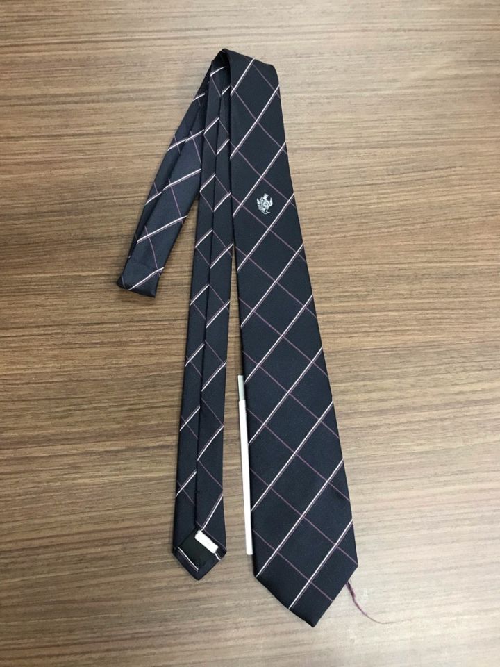 神奈川県　桐蔭学園高等学校　ネクタイ　【0301319】