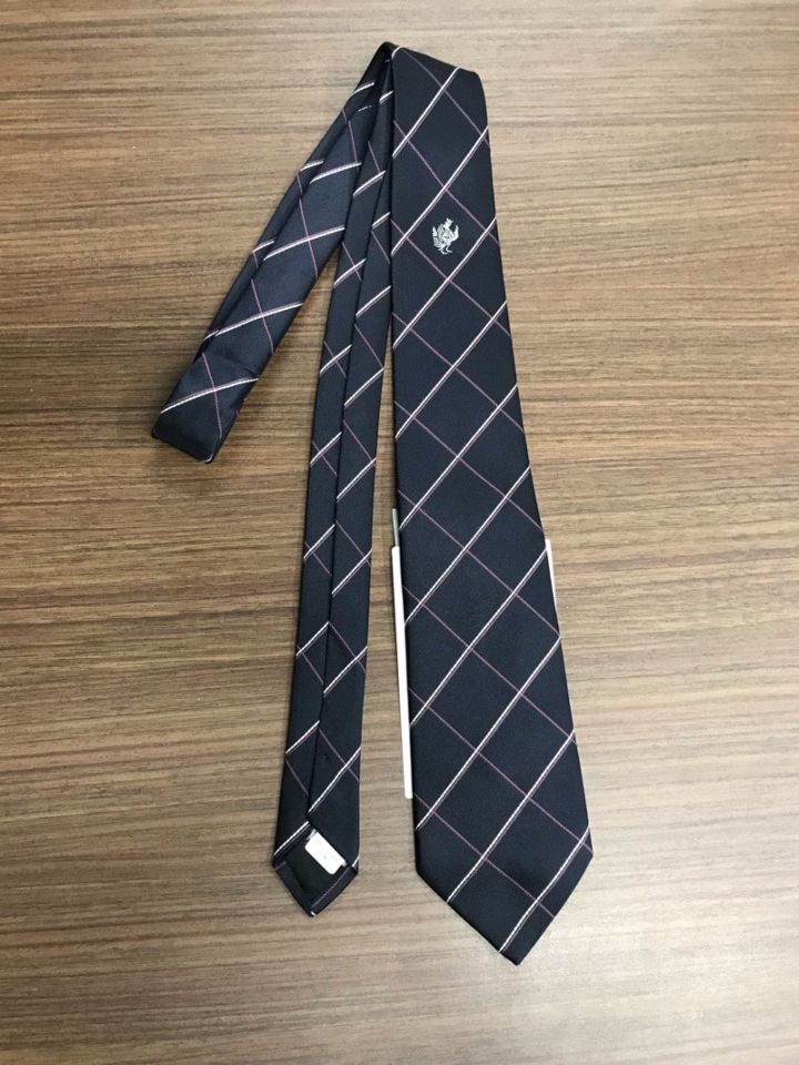 神奈川県　桐蔭学園高等学校　ネクタイ　【0301318】