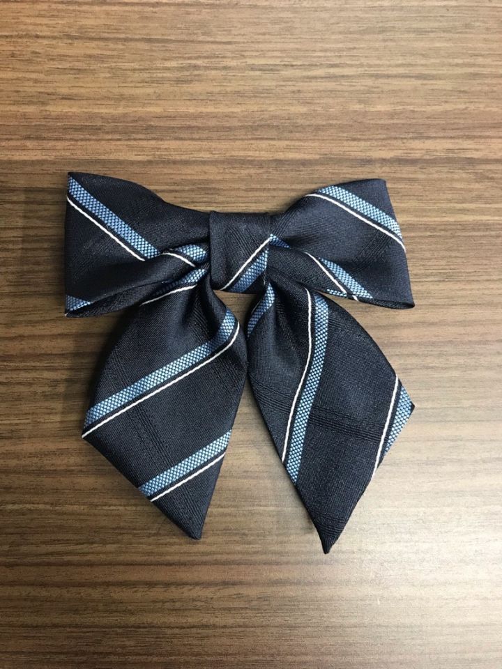 東京都　私立国本女子高校　リボン　【0303594】