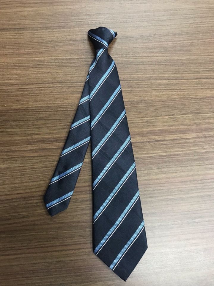 東京都　私立国本女子高校　ネクタイ　【0303593】