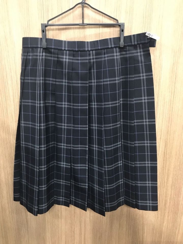 神奈川県　秦野総合高校　スカート（夏）【0303707】