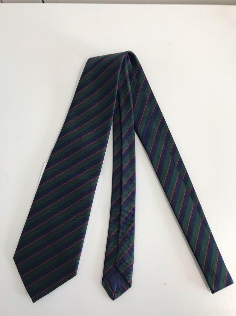 神奈川県　星槎国際高校　ネクタイ　【0304114】