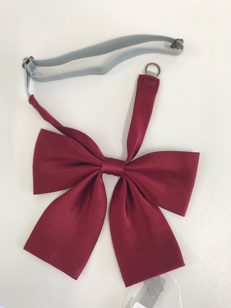 神奈川県　小鮎中学校　リボン　【0304334】