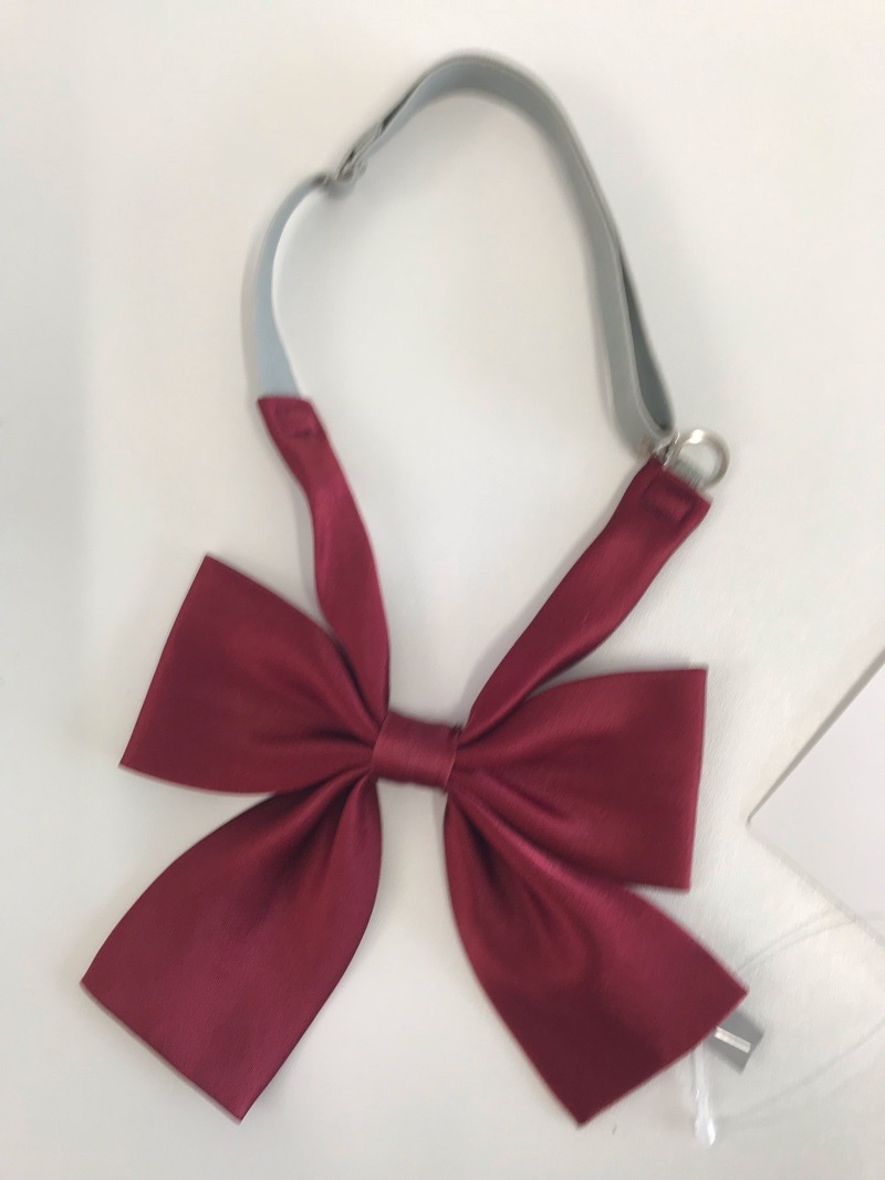 神奈川県　小鮎中学校　リボン　【0304335】