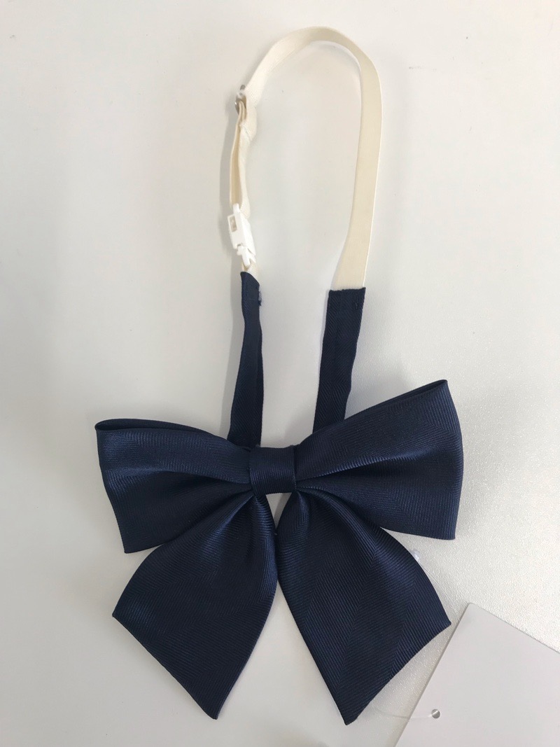 神奈川県　相模女子大学高等部　リボン　【0303887】