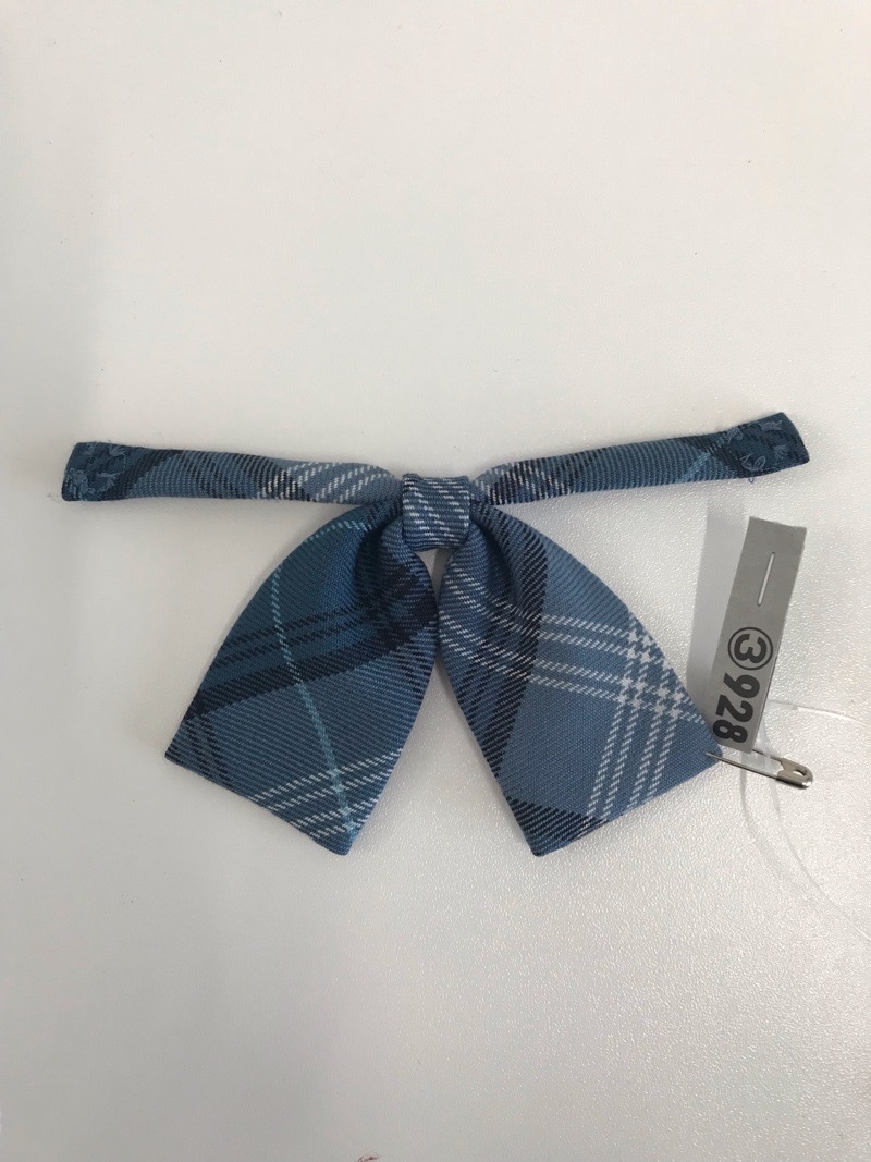 神奈川県　厚木田園幼稚園　リボン　【0303928】