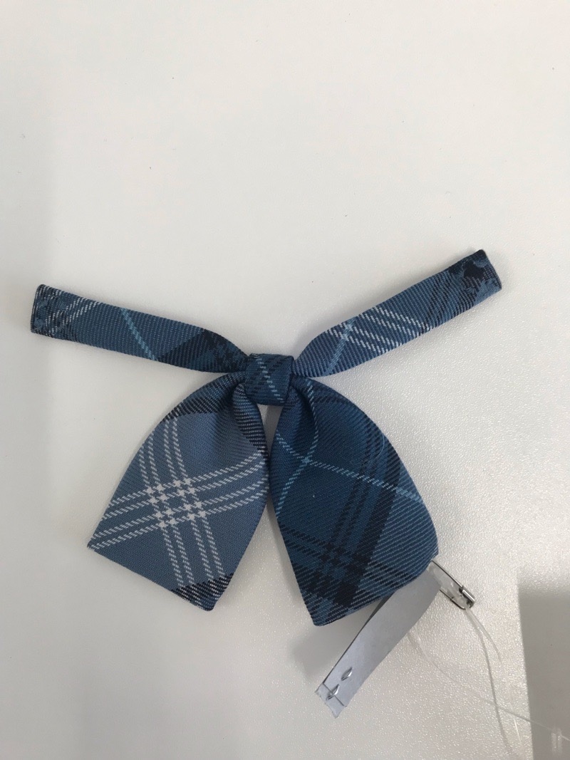 神奈川県　厚木田園幼稚園　リボン　【0303929】