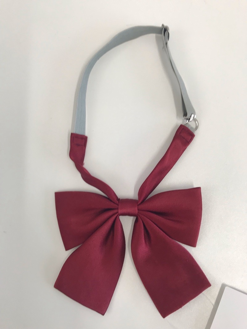 神奈川県　小鮎中学校　リボン　【0303907】