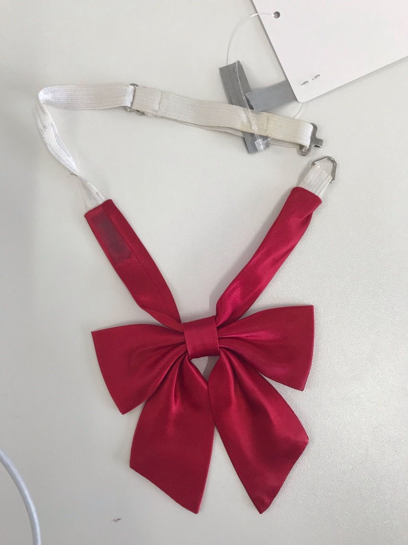 神奈川県　光ヶ丘幼稚園　リボン　【0304077】