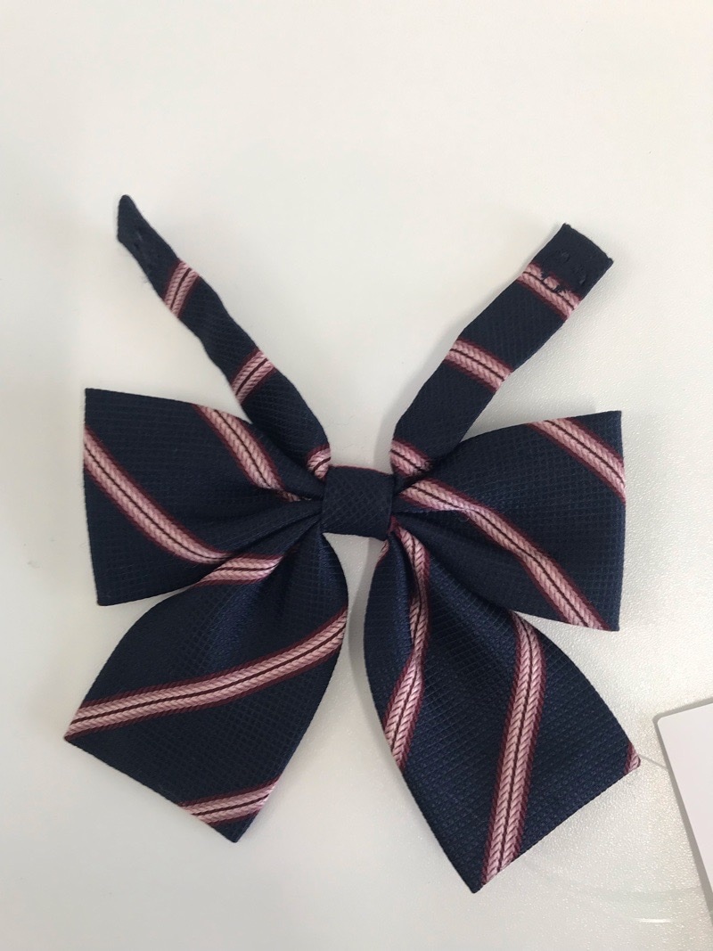 神奈川県　日本大学藤沢高校　リボン　【0303560】