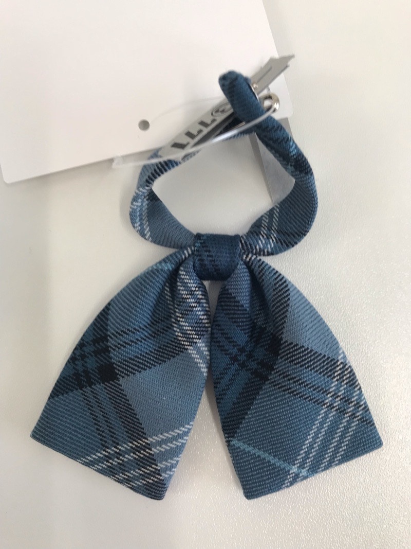 神奈川県　厚木田園幼稚園　リボン　【0303771】