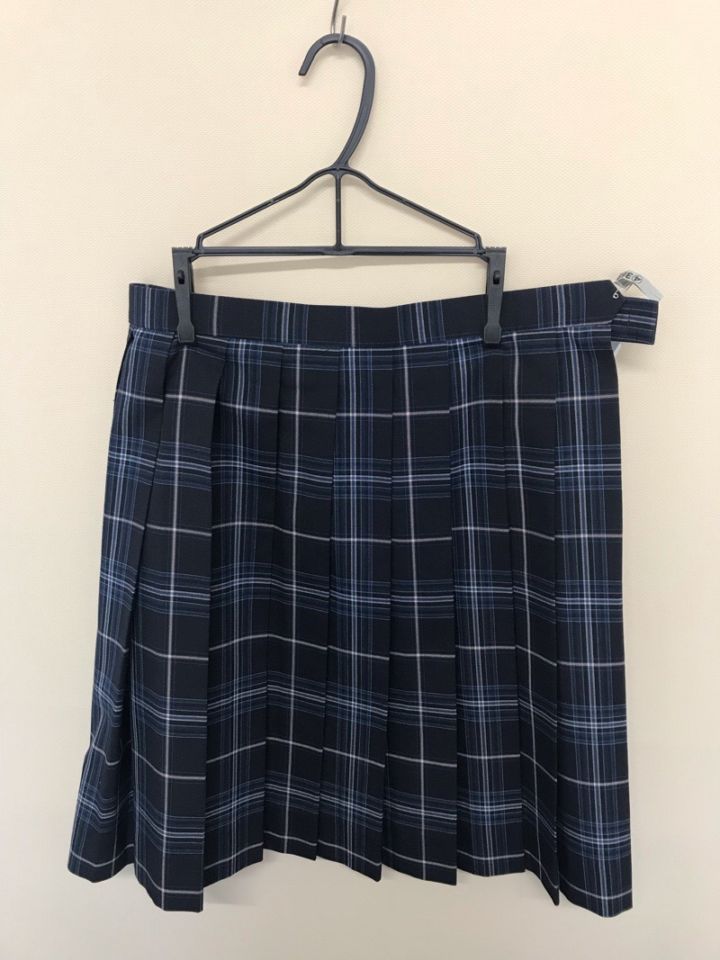 神奈川県　法政大学第二高等学校　スカート（夏）チェック【0304363】