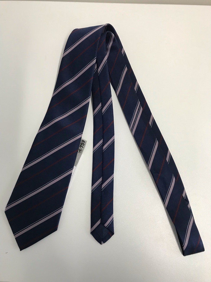 神奈川県　伊勢原高校　ネクタイ　【0304759】
