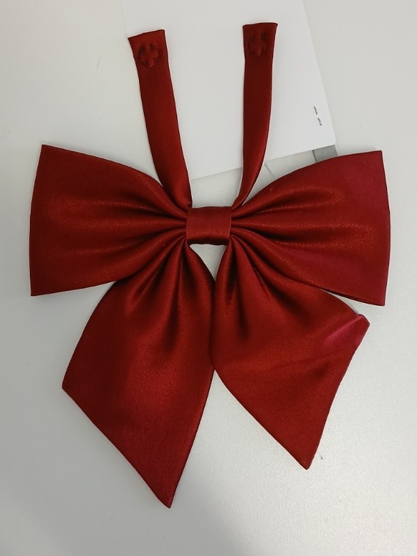 神奈川県　横浜隼人高校　リボン　【0304914】