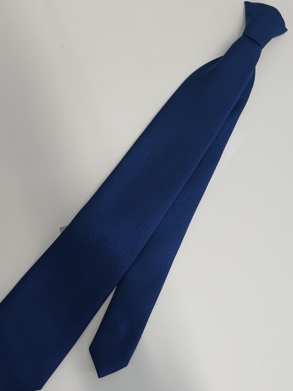 神奈川県　横浜市立田奈中学校　ネクタイ　【0304895】