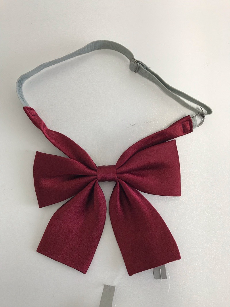 神奈川県　川崎市立麻生中学校　リボン　【0304994】