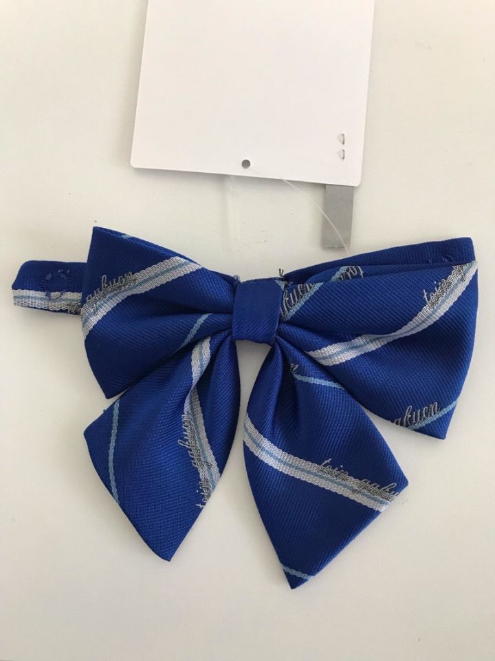 神奈川県　桐蔭学園高校　リボン　【0305005】