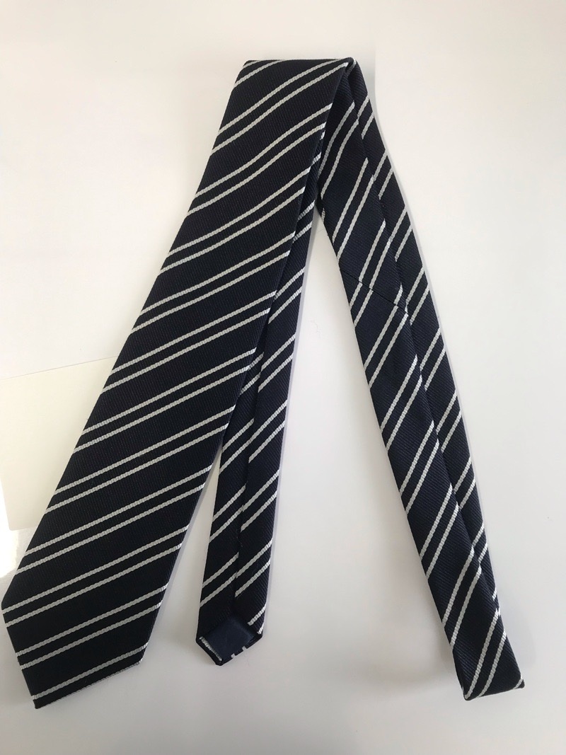 神奈川県　三浦学苑高校　ネクタイ　【0305163】