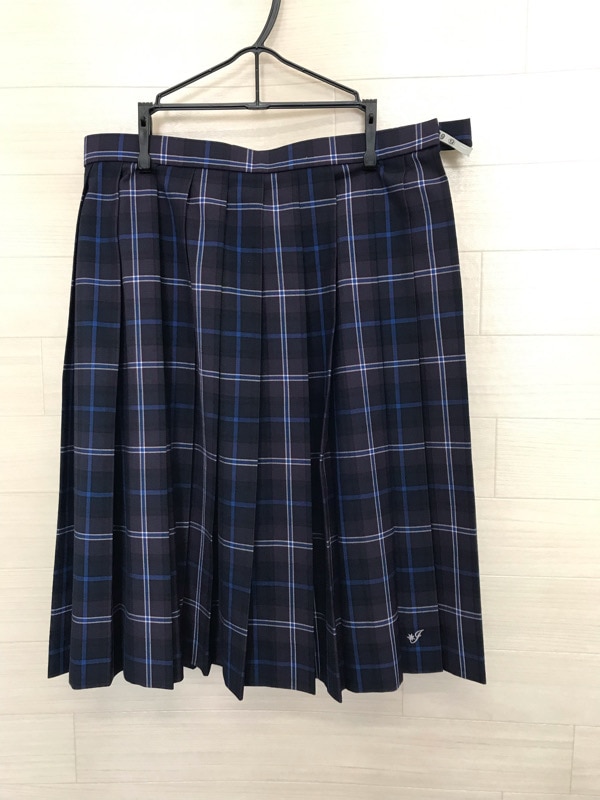 神奈川県　伊勢原高校　スカート（夏）【0306061】
