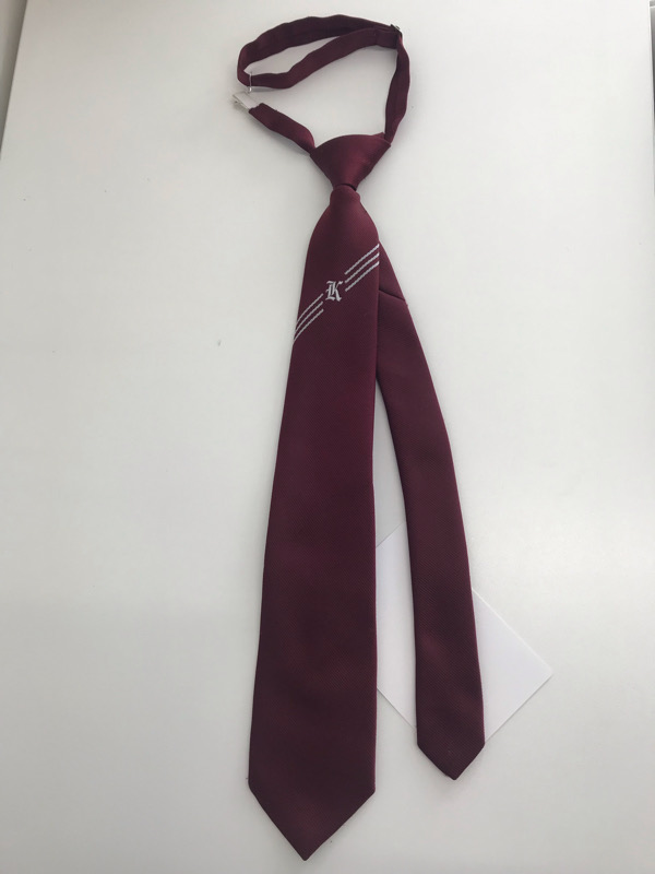 神奈川県　小鮎中学校　ネクタイ　【0306248】