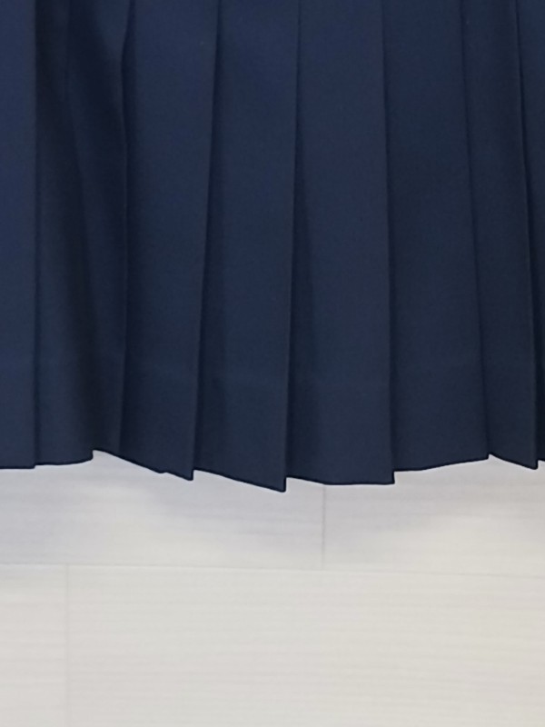 神奈川県　中沢中学校　スカート　冬　【0304858】