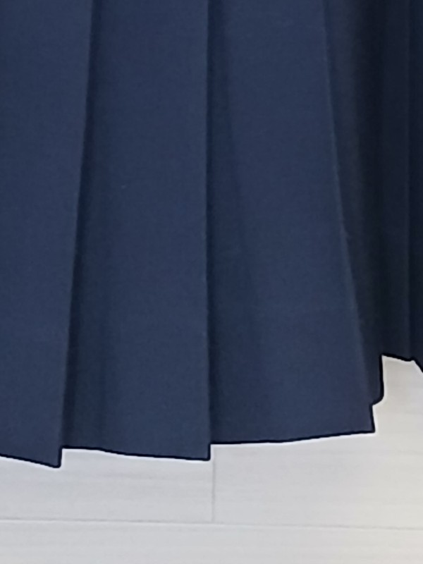 神奈川県　中沢中学校　スカート　冬　【0304858】