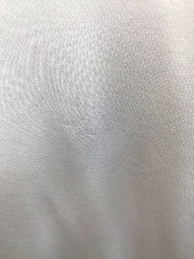 相模原中等教育学校 Tシャツ 【0302482】