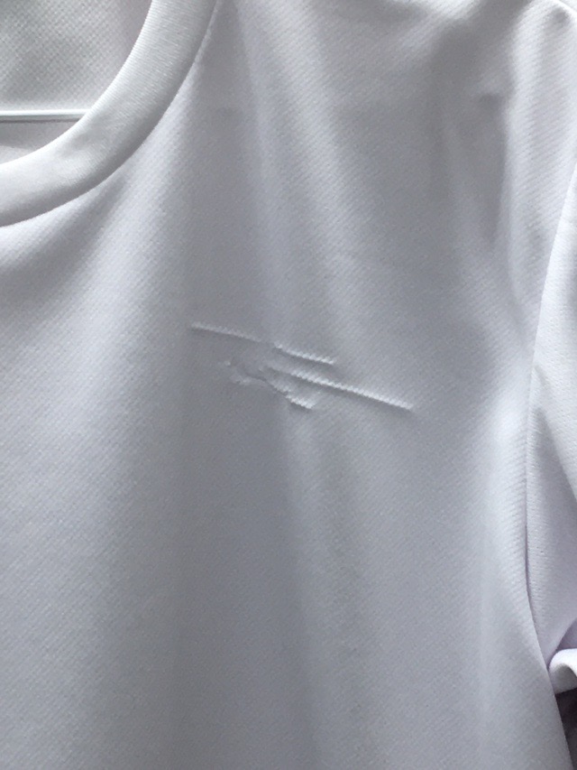 厚木清南高校　Tシャツ　【0208898】