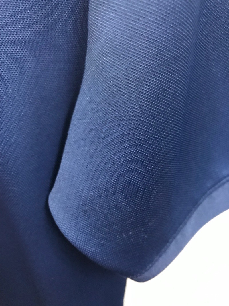 神奈川県　麻布大学付属高等学校　ポロシャツ　【0301659】