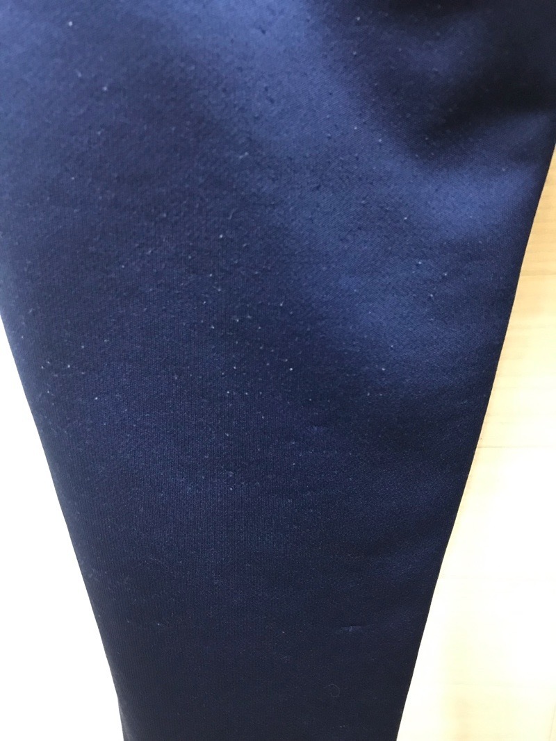 神奈川県　厚木中学校　ジャージ下　旧デザイン【0210913】