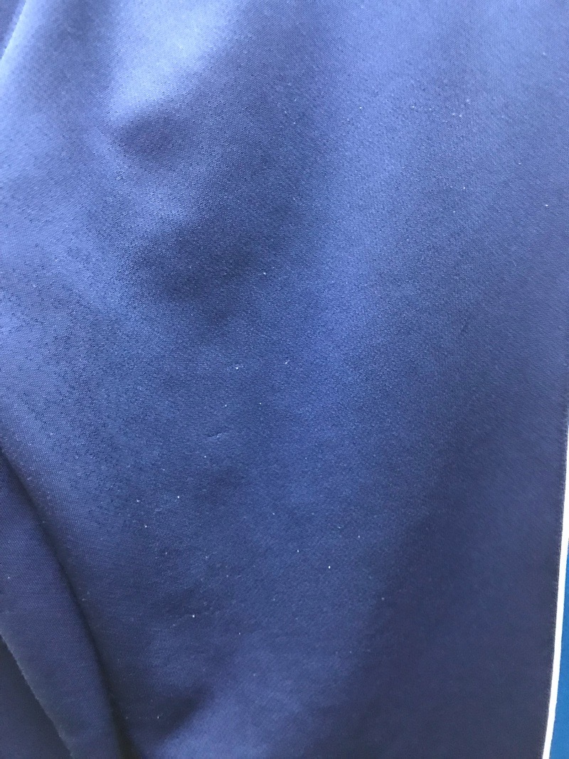 神奈川県　厚木中学校　ジャージ下　旧デザイン【0210914】