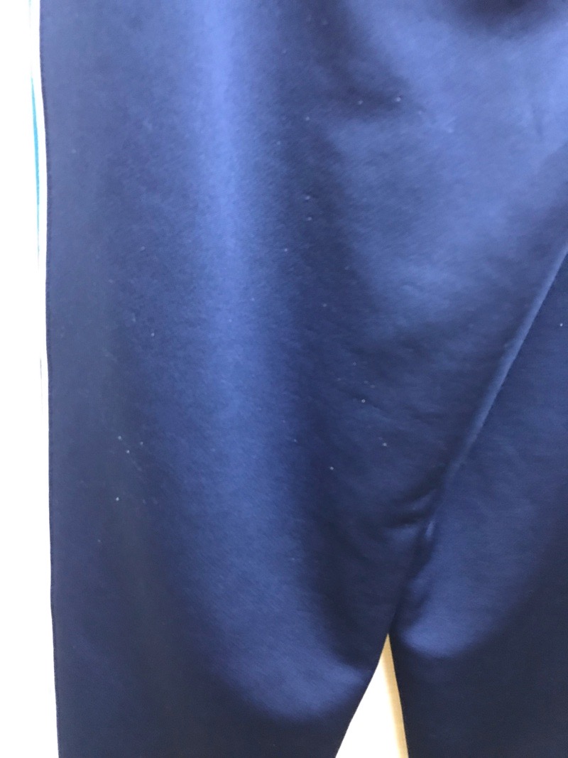 神奈川県　厚木中学校　ジャージ下　旧デザイン【0210914】