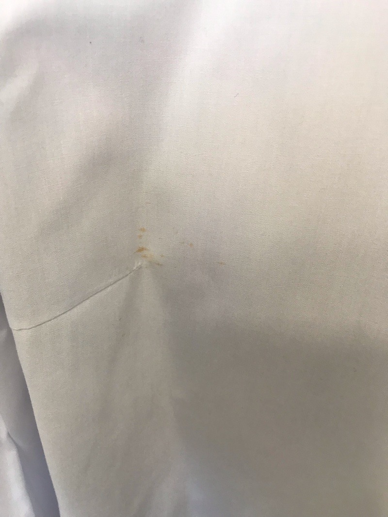 神奈川県　睦合東中学校　ブラウス（長袖）【0304279】