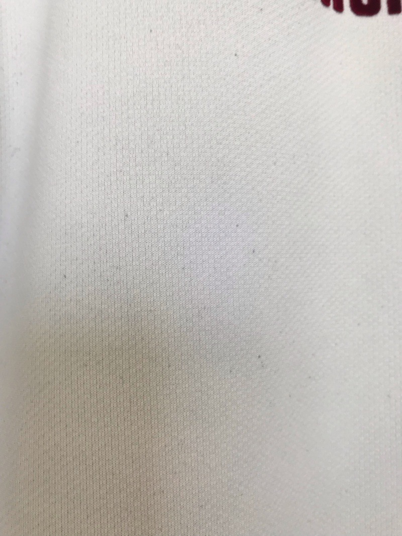 神奈川県　厚木中学校　Tシャツ　旧デザイン【0301460】