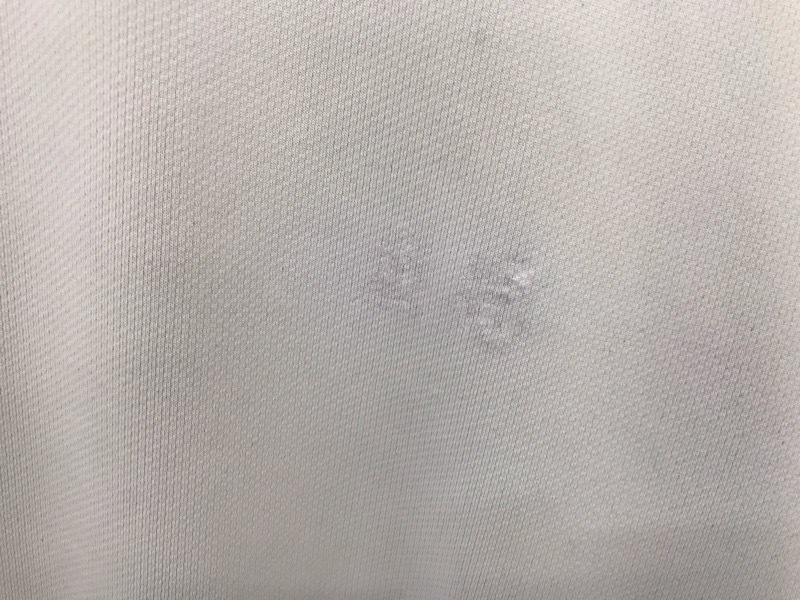 神奈川県　厚木中学校　Tシャツ　旧デザイン【0301461】