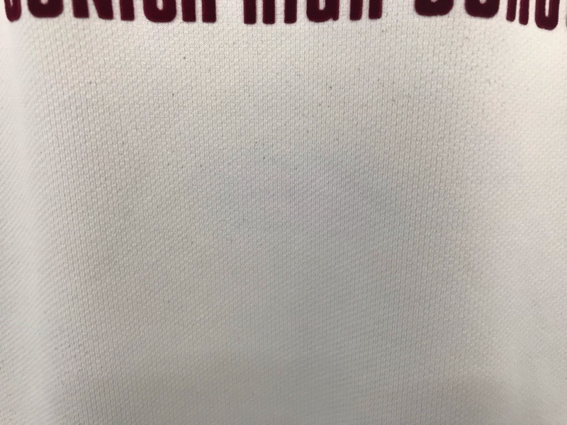 神奈川県　厚木中学校　Tシャツ　旧デザイン【0301461】