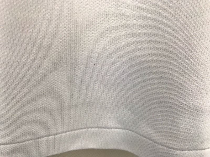 神奈川県　厚木中学校　Tシャツ　旧デザイン【0301461】