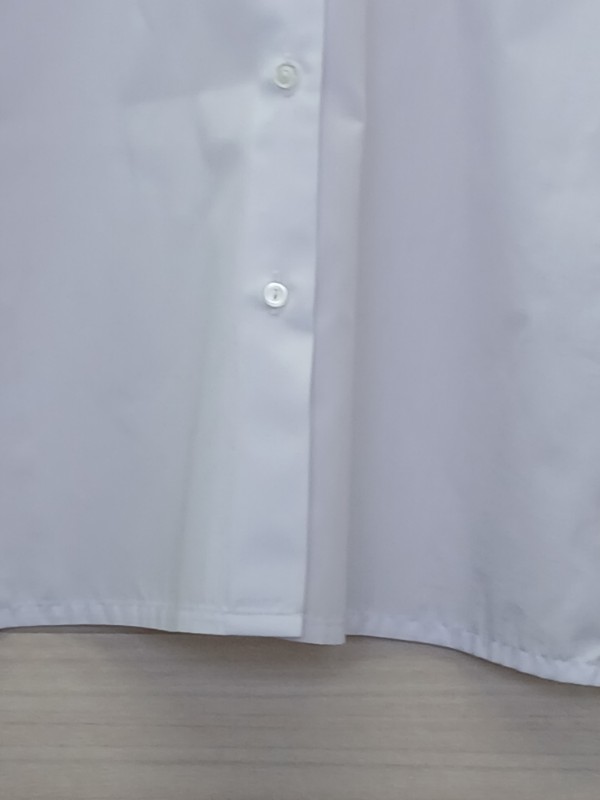 神奈川県　伊勢原高校　ブラウス（長袖）【0304731】