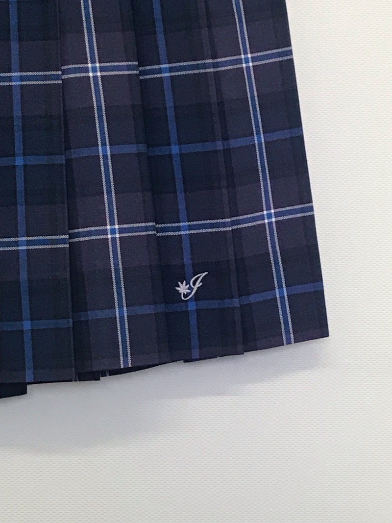 神奈川県 伊勢原高校 スカート(夏)【0304648】